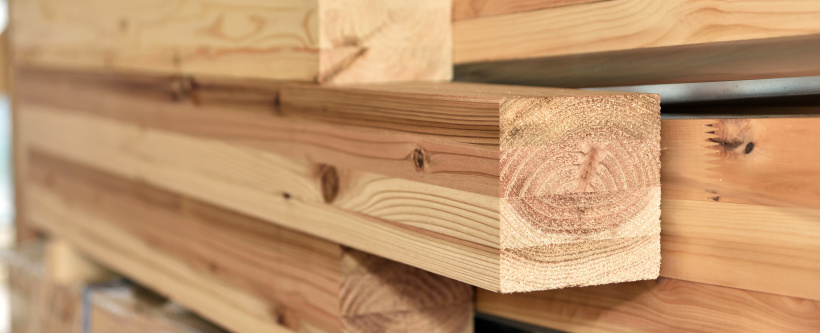 HOLZ-HANDWERK – Branchenhighlight der Holzbearbeitung & Holzverarbeitung